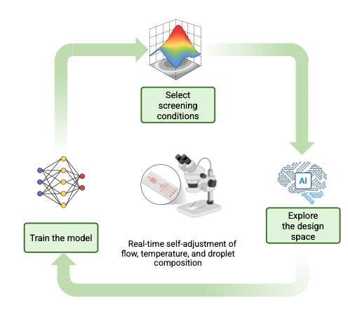 Youcef Exploration in pharma