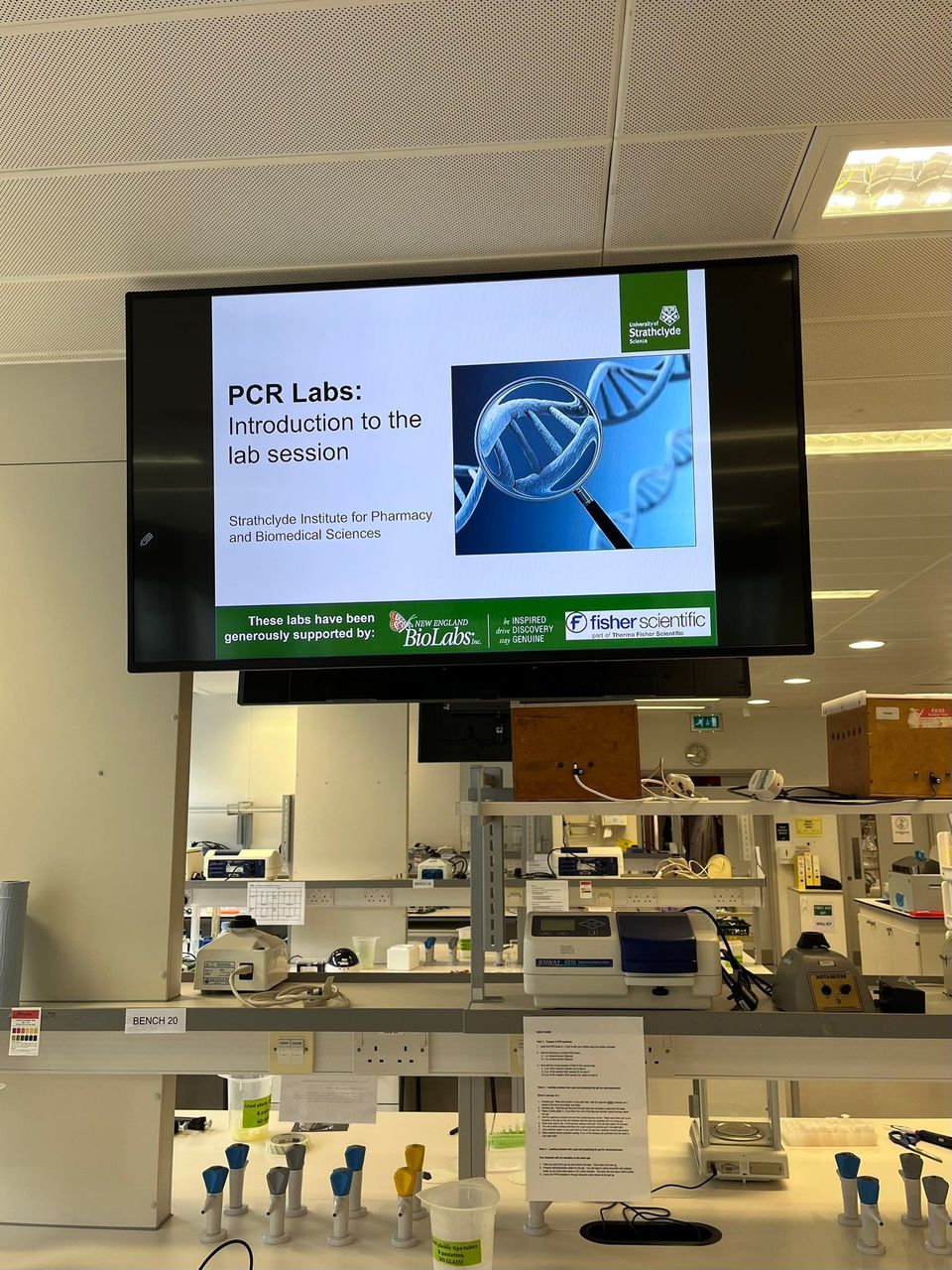 Bridging Fragmented Knowledge: Insights from the TaqChat Thermofisher Event