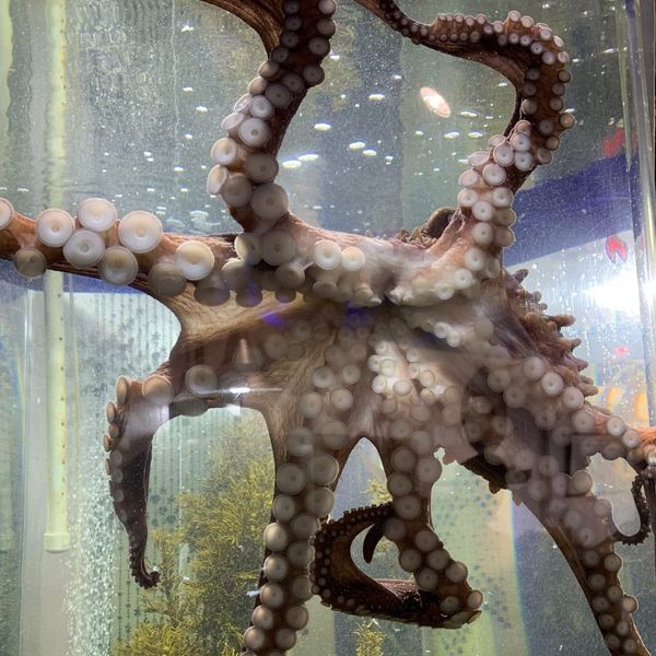 Connection conundrum