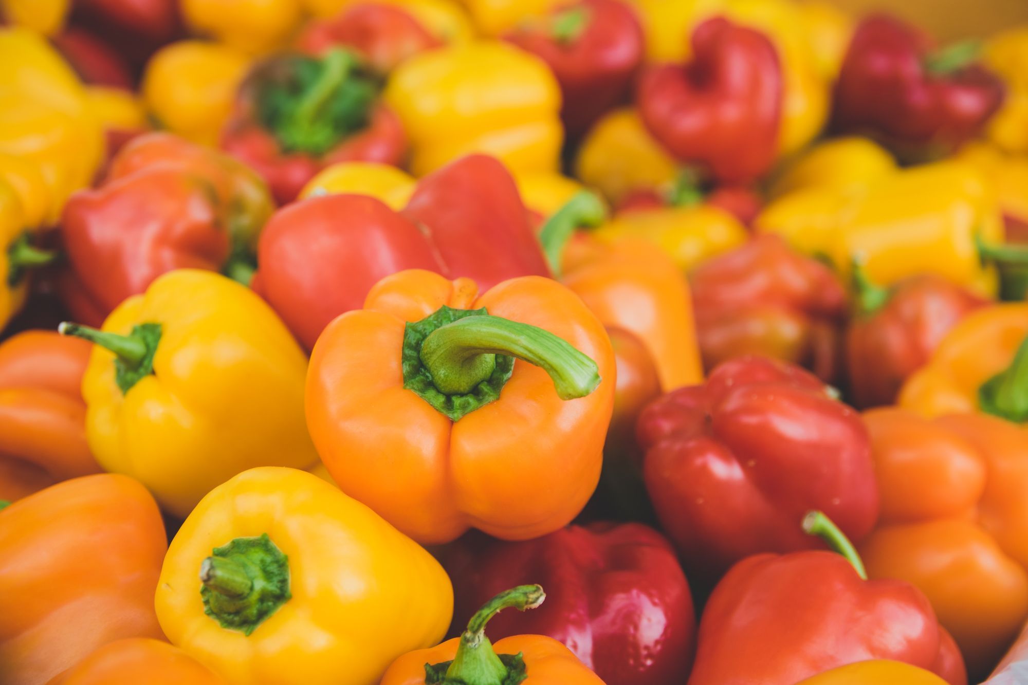 Roasted Red Peppers