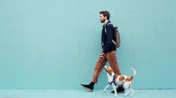 Citizen Walkers | Class Visit