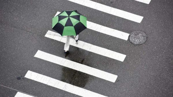 Florida shouldn’t tolerate the killing of so many pedestrians