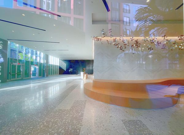 A First Look at Miami's New Tech Landmark: Amazon's Wynwood Office Building and Plaza