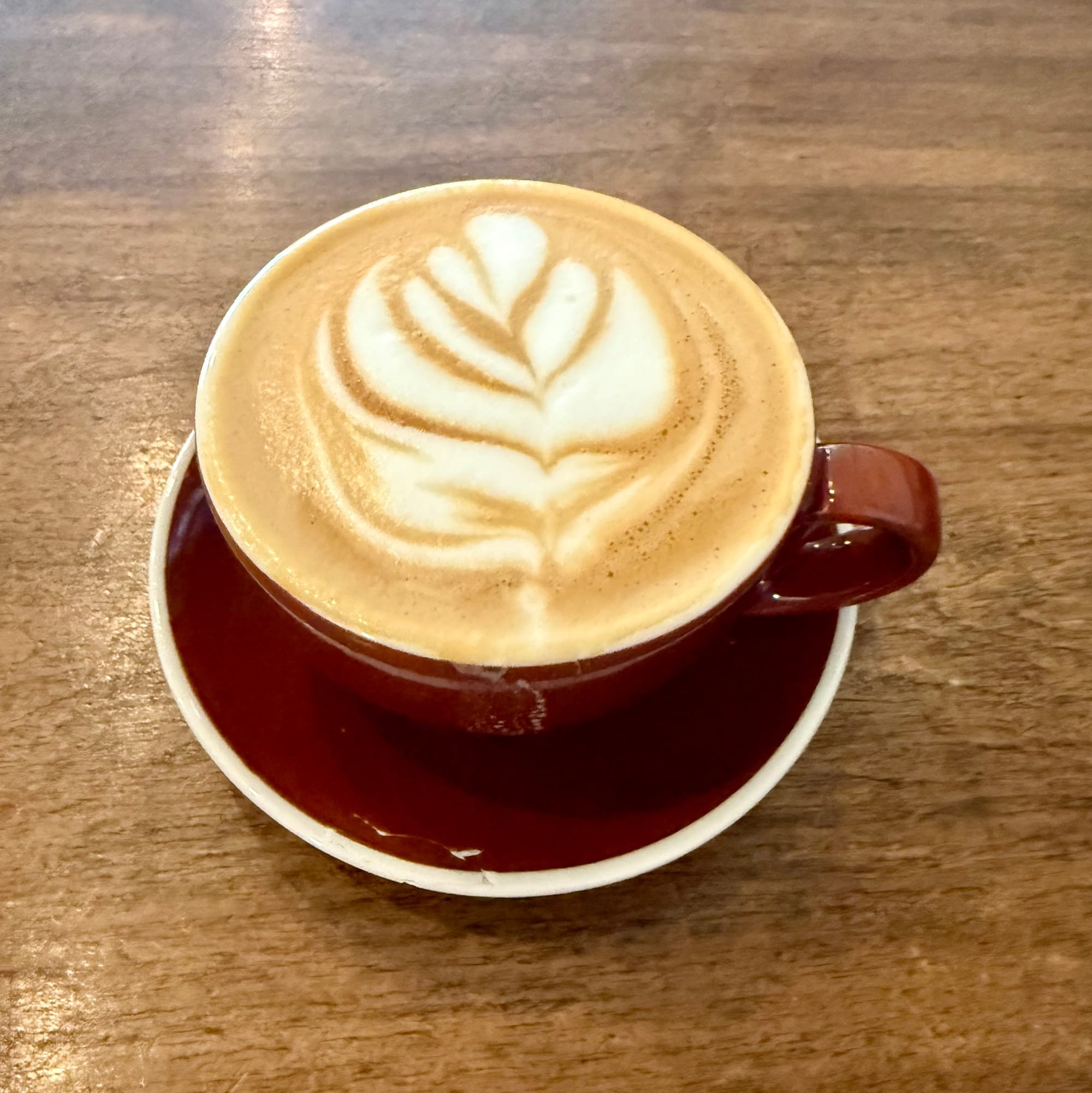 My Long Time North Shore Favorite Café