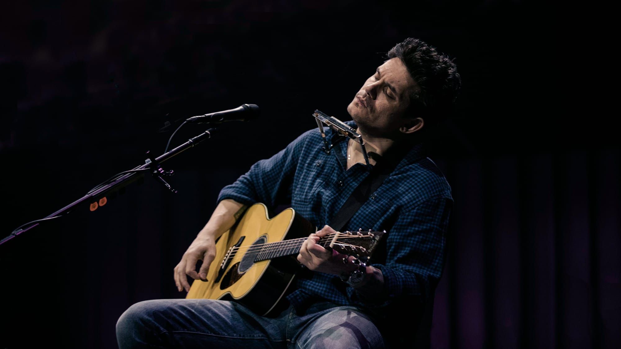 Harris Freeman