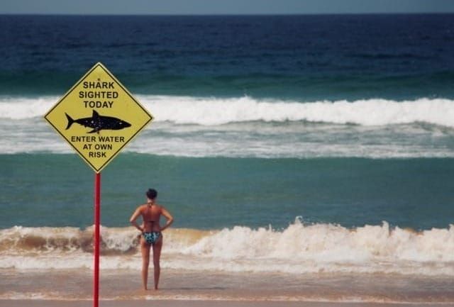 Exchange rate margin: the key to a fair international money transfer