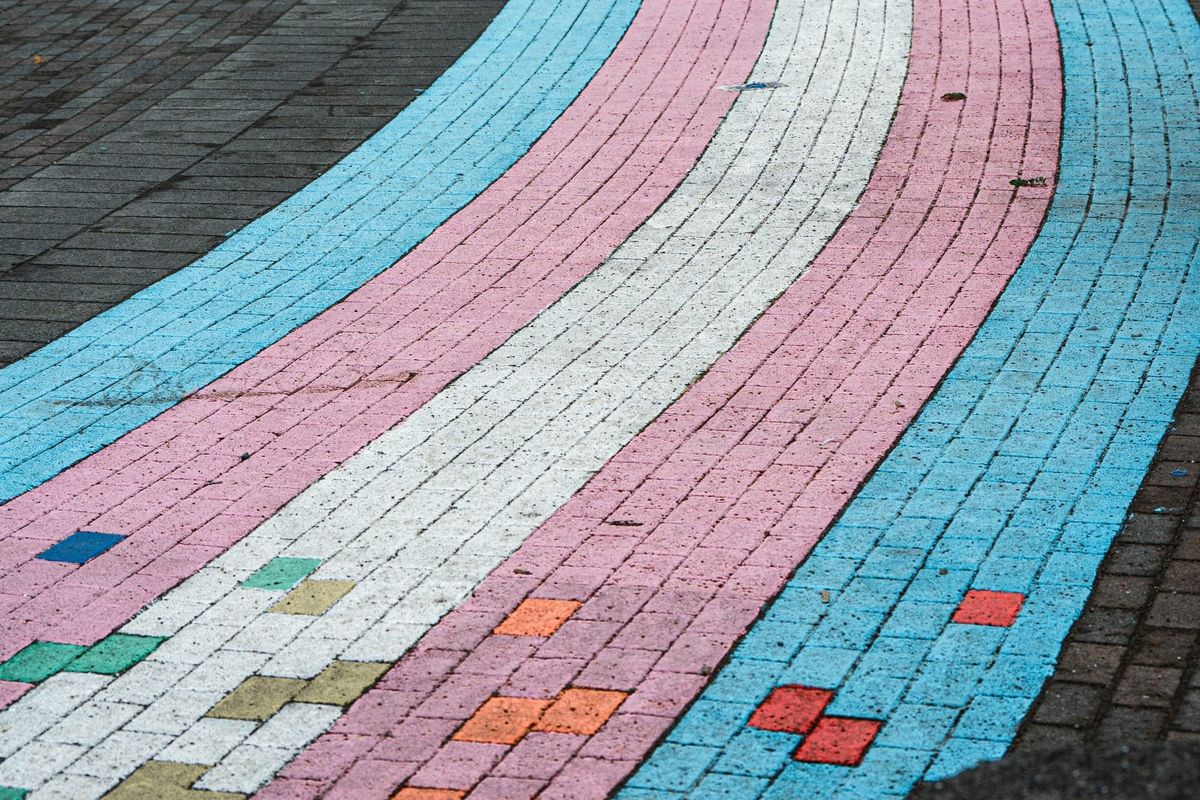 Analysis finds around two in three trans and gender‑diverse people have experienced physical or sexual violence