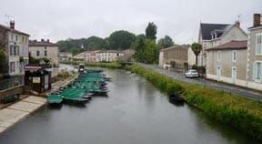 The green grass of Venice?