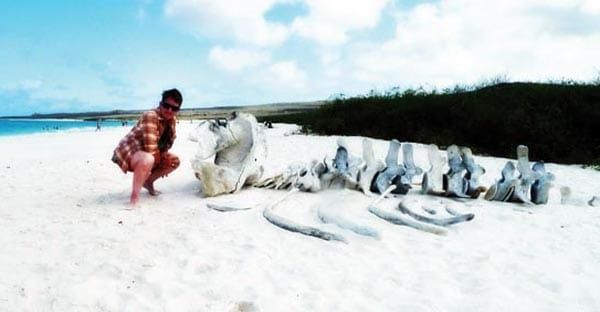 TRAVEL: Ecuador and the Galapagos Islands