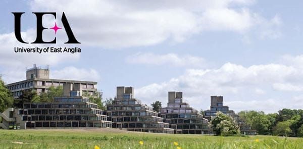 Lesbian and bi women at increased risk of being overweight