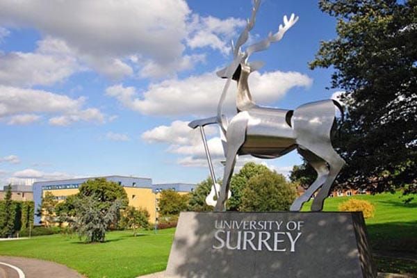 New research on the Faster Diagnosis Standard for Cancer