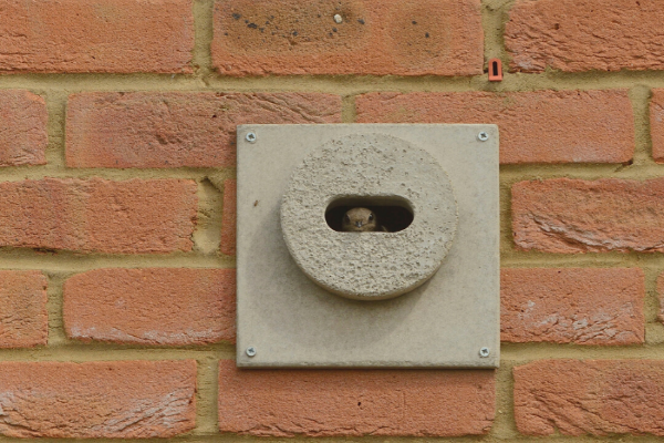 Council takes swift action to protect birds