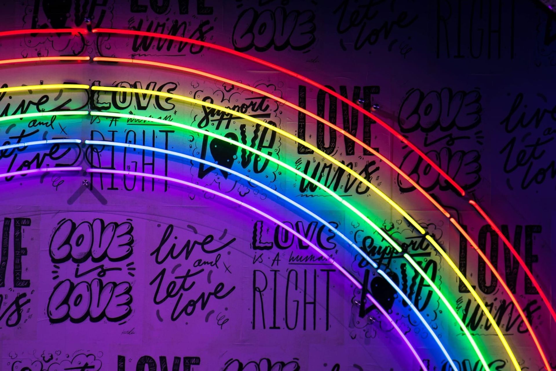 LGB Alliance co-founder Alison Bailey loses latest legal challenge against Stonewall