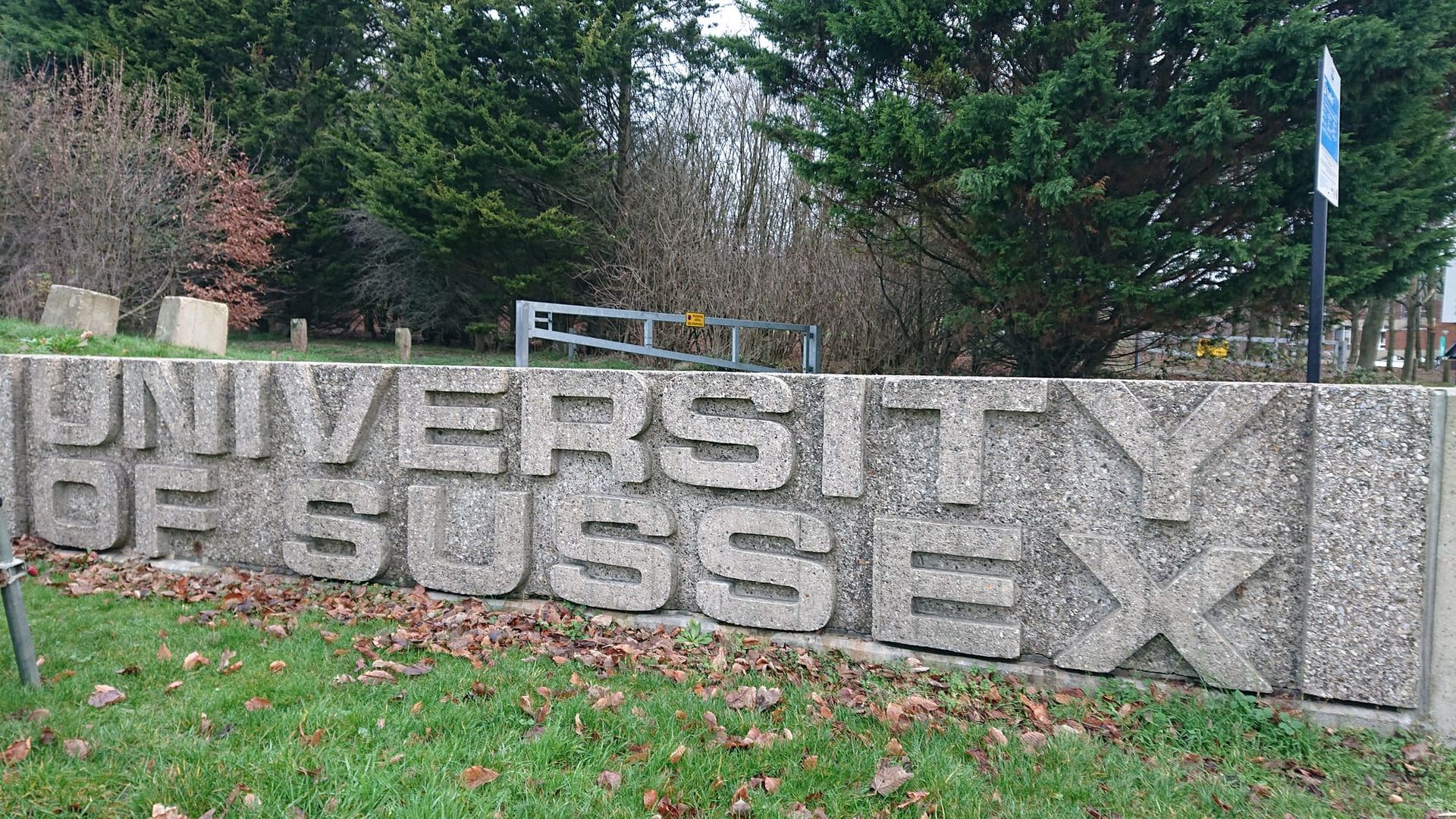 Greens speak out against formation of Reform UK student group at University of Sussex