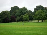 Flying the Green Flags