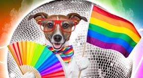 Woofty woofty! Pride Dog Show returns on July 20.