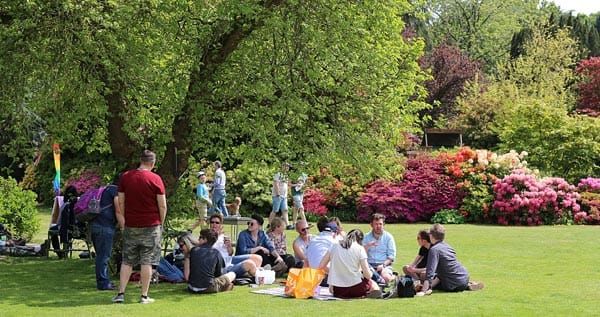 The Stody Rainbow Garden Party 2019