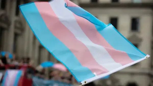 Department for Education removes trans rights charity Mermaids from mental health and wellbeing resources for schools
