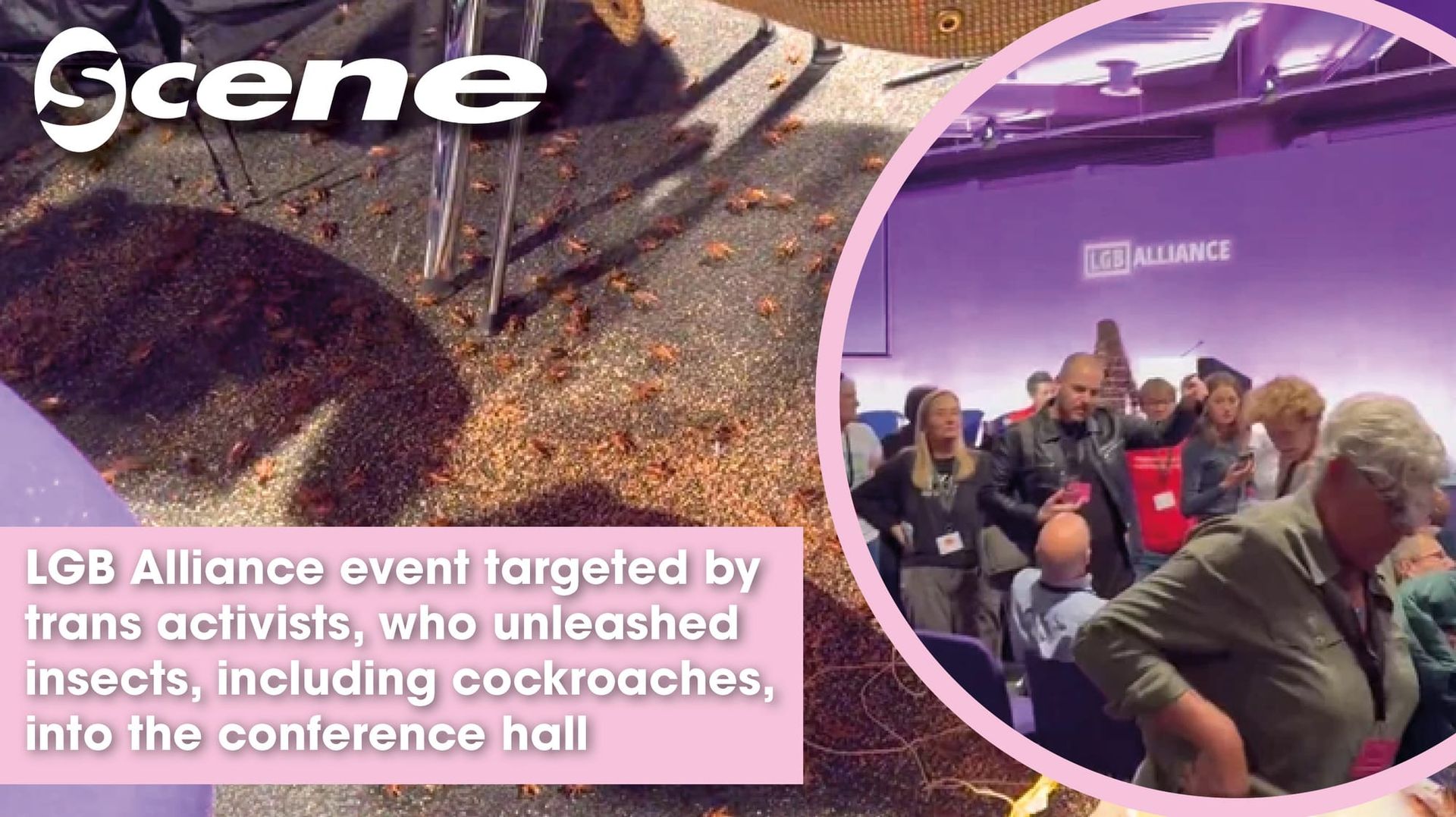 Trans activists release insects, including cockroaches, during anti-trans group LGB Alliance event