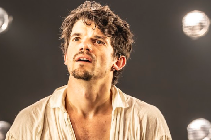 Was Shakespeare queer ?