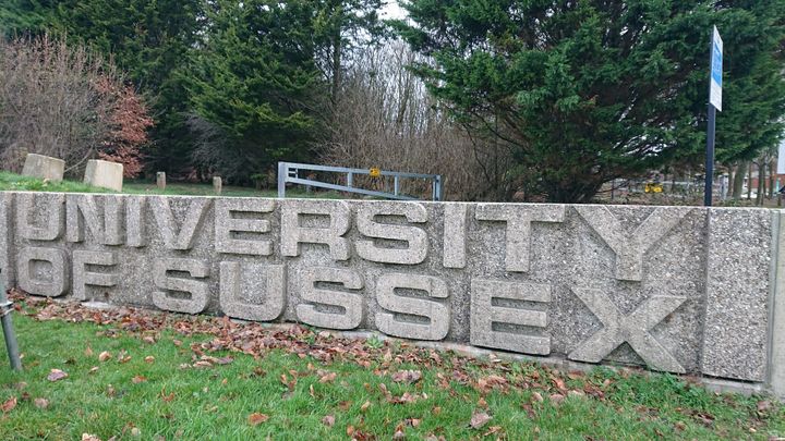 Greens speak out against formation of Reform UK student group at University of Sussex