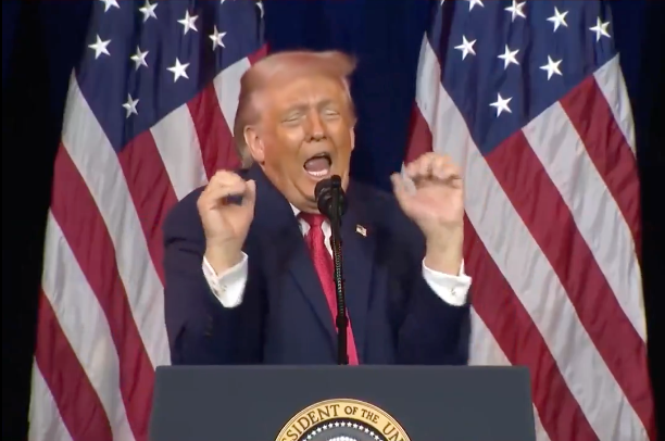 Donald Trump criticised for mocking trans athletes