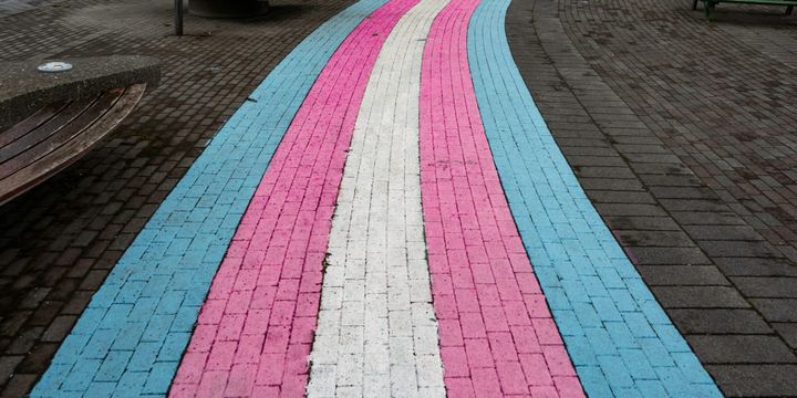 Doctor who praised JK Rowling removed from puberty‑blocker review amid fears over anti‑trans bias