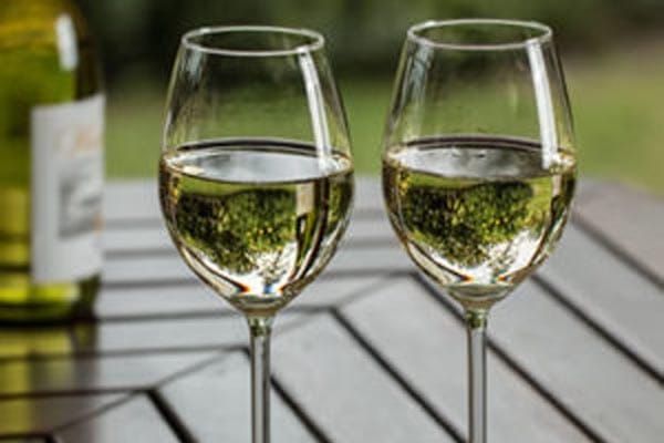 Martin Fisher Foundation wine tasting fundraiser