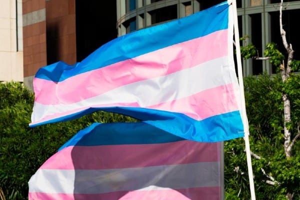 Report: Over 476,000 trans adults don’t have an ID that matches their gender identity
