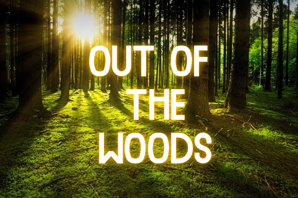 FEATURE: More openings, more shows – out of the woods ?