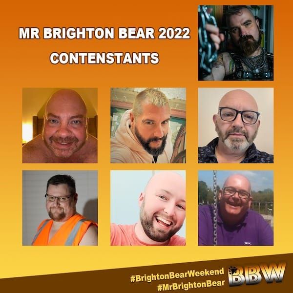 Meet the fabulous contestants for Mr Brighton Bear 2022!