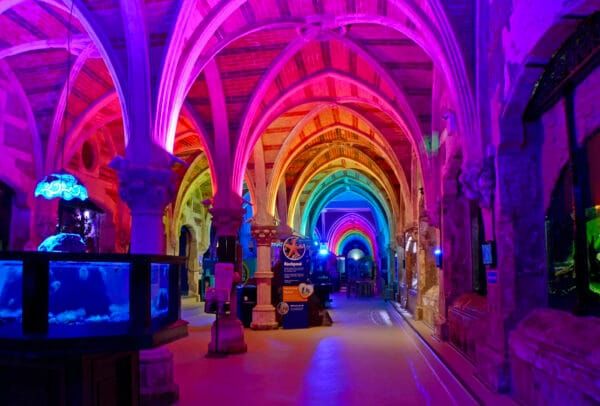 Sofar Sounds announce the iconic venue for their LGBTQ+ themed gig with charity partners the Brighton Rainbow Fund