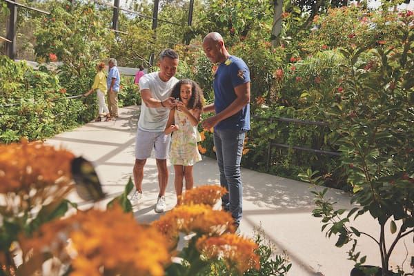 Greater Fort Lauderdale: Welcome Nature Lovers