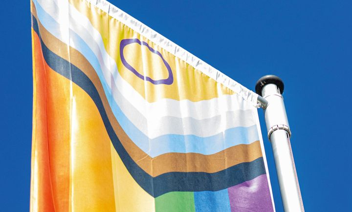 Reform UK MP under fire after saying Progress Pride flag should be banned from public buildings