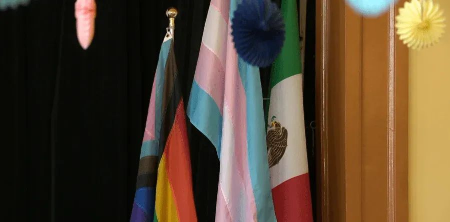 Standing Proud: Workshop supports trans veterans facing discharge under US military ban