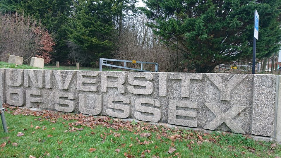 University of Sussex challenges ‘unlawful’ OfS fine in defence of trans‑inclusive policies