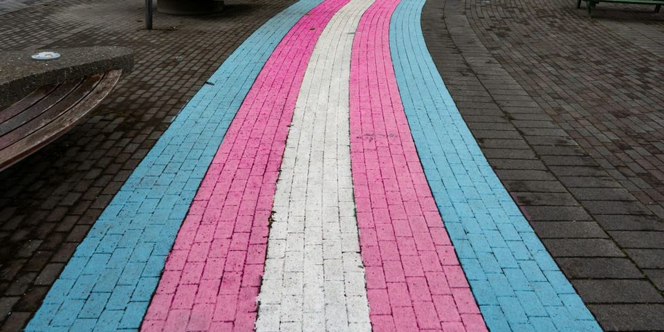 Doctor who praised JK Rowling removed from puberty‑blocker review amid fears over anti‑trans bias