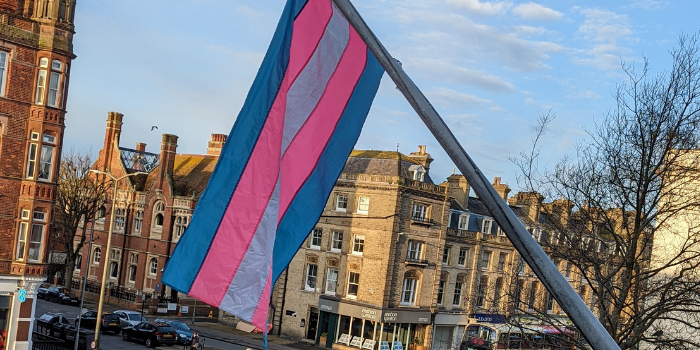 Brighton & Hove City Council to fly trans flags to mark Trans Day of Visibility