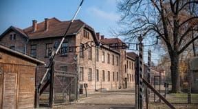 Brighton MP, Kirby visits former Nazi death camp with local students