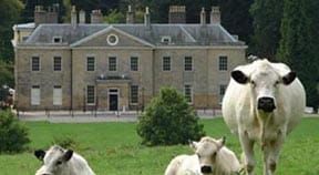 Master plans for future of Stanmer Park