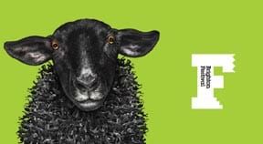 Brighton Festival 2014 programme announced