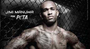 Boxer supports Peta anti fur campaign