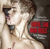 BOOK REVIEW: Until the Sun Rises