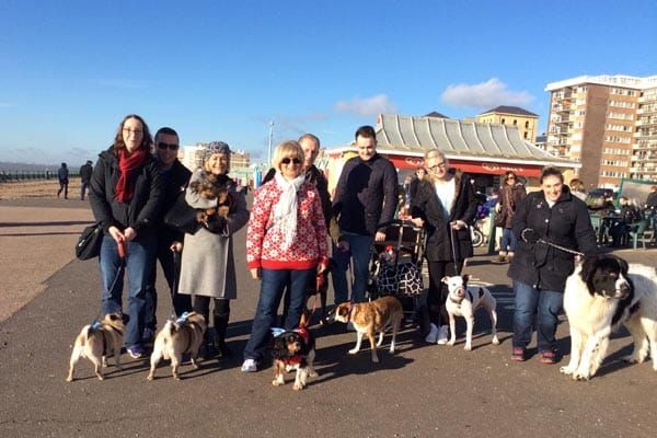 Pooches on the Prom – sponsored dog walk in support of the Martlets