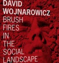 BOOK REVIEW: Brush Fires in the Social Landscape: David Wojnarowicz