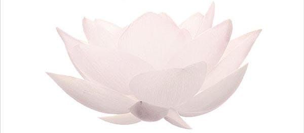 Free Mindfulness Course at MindOut