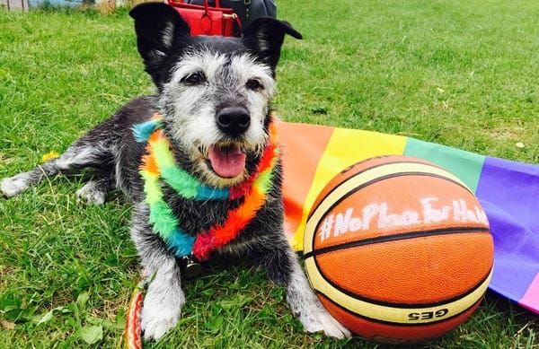 BRIGHTON PRIDE is proud to help make Sussex #NoPlaceForHate