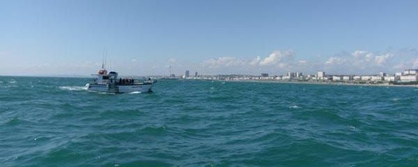 BRIGHTON FESTIVAL REVIEW: Five short blasts