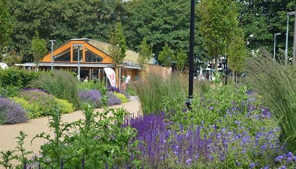 Council to improve safety at The Level