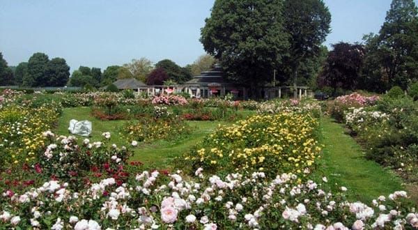 Preston Park rose garden to be restored
